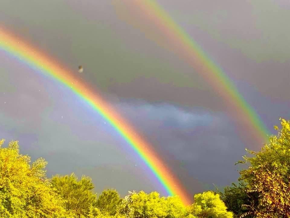 Sharon Star Nichols rainbow